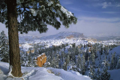 USA, Utah, Bryce Canyon in Winter White Modern Wood Framed Art Print with Double Matting by Rotenberg, Nancy