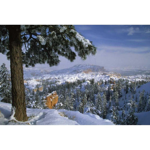 USA, Utah, Bryce Canyon in Winter Black Modern Wood Framed Art Print by Rotenberg, Nancy
