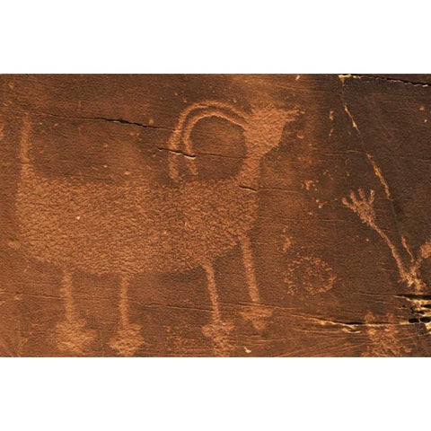 Utah Petroglyph rock art at Dinosaur NM Gold Ornate Wood Framed Art Print with Double Matting by Flaherty, Dennis