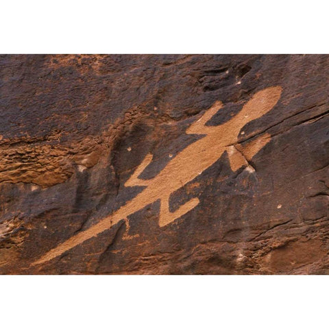 Utah Petroglyph rock art at Dinosaur NM White Modern Wood Framed Art Print by Flaherty, Dennis