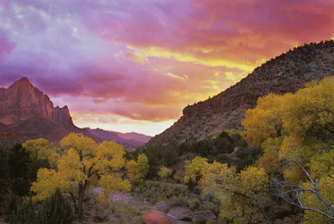 UT, Zion NP  Canyon landscape at sunset White Modern Wood Framed Art Print with Double Matting by Young, Bill