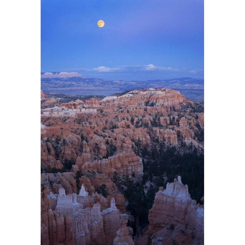 Utah, Bryce Canyon NP Moonrise over Sunset Point White Modern Wood Framed Art Print by Kaveney, Wendy