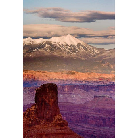 UT, Dead Horse Point SP  La Sal Mts at sunset Black Modern Wood Framed Art Print by Paulson, Don