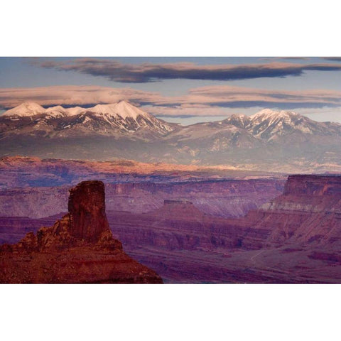 UT, Dead Horse Point SP  La Sal Mts at sunset Black Modern Wood Framed Art Print by Paulson, Don