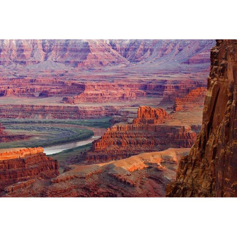 UT, Dead Horse Point View of the Colorado River Black Modern Wood Framed Art Print by Paulson, Don
