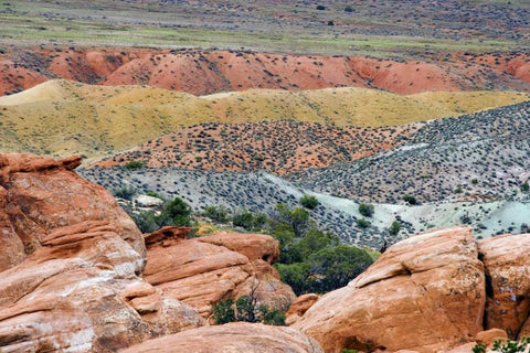 USA, Utah, Arches NP View of Salt Valley Black Ornate Wood Framed Art Print with Double Matting by Paulson, Don