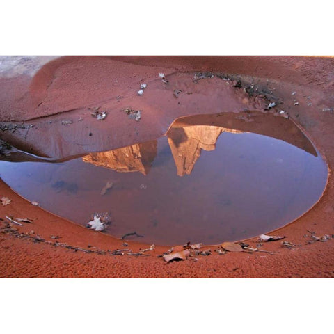 UT, Arches NP Rain puddle reflections Black Modern Wood Framed Art Print with Double Matting by Illg, Cathy and Gordon