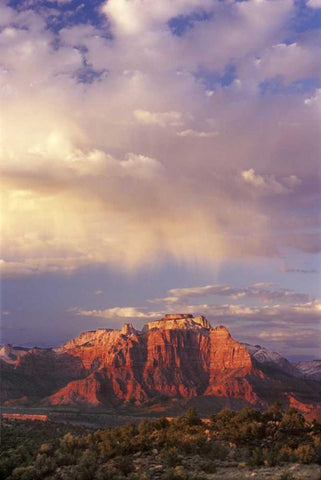 UT, Zion NP Storm over back of West Temple White Modern Wood Framed Art Print with Double Matting by Welling, Dave
