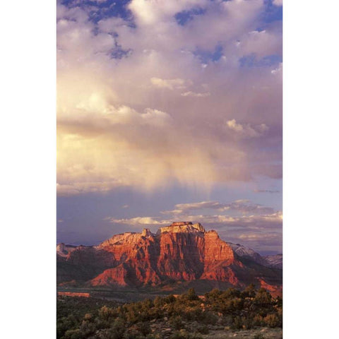 UT, Zion NP Storm over back of West Temple Black Modern Wood Framed Art Print by Welling, Dave