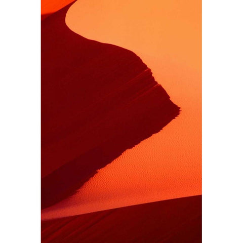 UT, Coral Pink Sand Dunes SP Abstract patterns White Modern Wood Framed Art Print by Welling, Dave