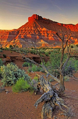 Utah Paria Canyon sandstone formation at sunset White Modern Wood Framed Art Print with Double Matting by Welling, Dave