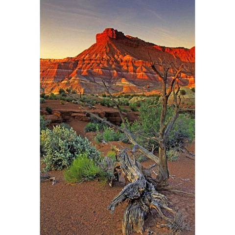 Utah Paria Canyon sandstone formation at sunset Black Modern Wood Framed Art Print by Welling, Dave