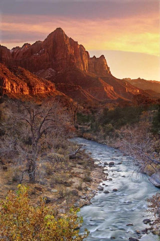 UT, Zion NP The Watchman and Virgin River Black Ornate Wood Framed Art Print with Double Matting by Welling, Dave