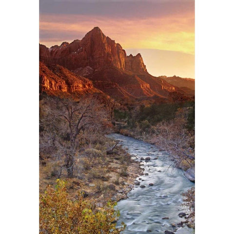 UT, Zion NP The Watchman and Virgin River Black Modern Wood Framed Art Print by Welling, Dave