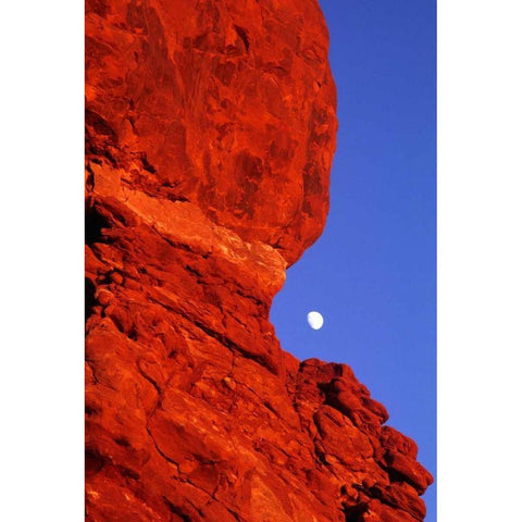 USA, Utah, Arches NP Moonrise over Balanced Rock Black Modern Wood Framed Art Print with Double Matting by Welling, Dave