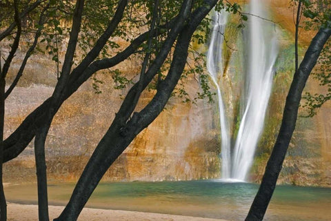 USA, Utah View of Calf Creek Falls through trees White Modern Wood Framed Art Print with Double Matting by Paulson, Don