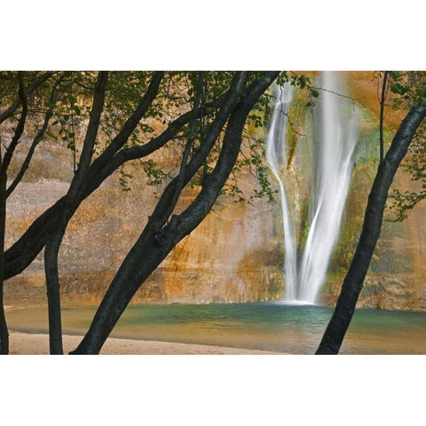 USA, Utah View of Calf Creek Falls through trees Black Modern Wood Framed Art Print by Paulson, Don