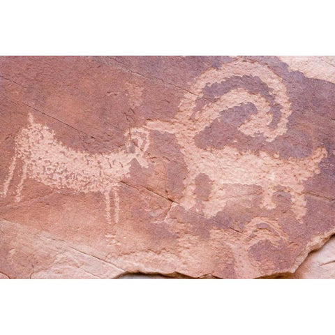 UT, Glen Canyon NP Petroglyph byEscalante River Black Modern Wood Framed Art Print with Double Matting by Paulson, Don