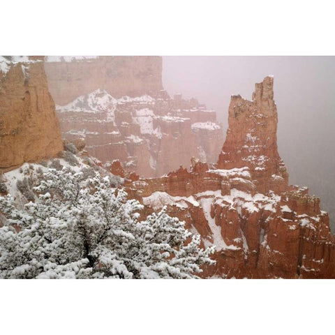 Utah, Bryce Canyon Paria Valley formations Black Modern Wood Framed Art Print by Paulson, Don