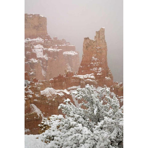 Utah, Bryce Canyon Paria Valley formations Black Modern Wood Framed Art Print by Paulson, Don