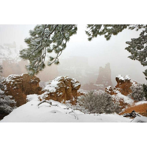 Utah, Bryce Canyon Paria Valley formations White Modern Wood Framed Art Print by Paulson, Don