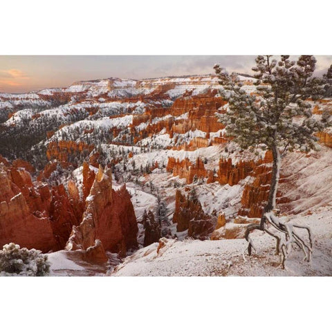 Utah, View of Bryce Canyon in winter Black Modern Wood Framed Art Print by Paulson, Don