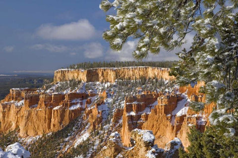 UT, Bryce Canyon Sunrise on canyon formations Black Ornate Wood Framed Art Print with Double Matting by Paulson, Don