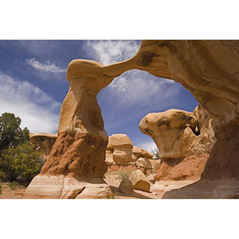 UT, Escalante Grand Staircase NM, Devils Garden Black Modern Wood Framed Art Print by Paulson, Don