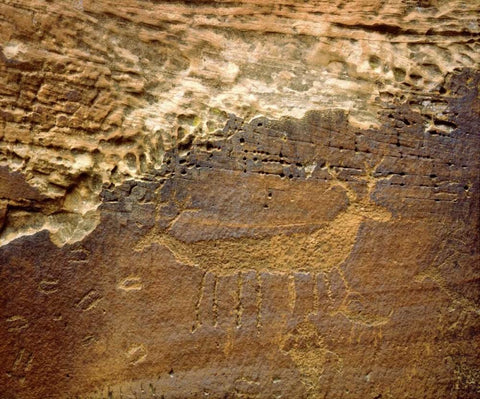 Utah Petroglyph carvings of animals on rock face White Modern Wood Framed Art Print with Double Matting by Talbot Frank, Christopher