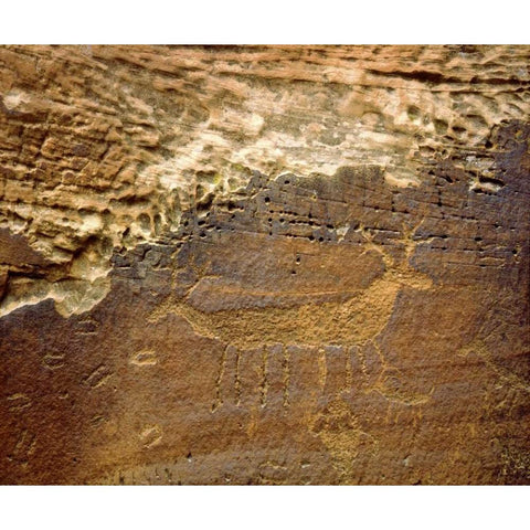 Utah Petroglyph carvings of animals on rock face Black Modern Wood Framed Art Print by Talbot Frank, Christopher