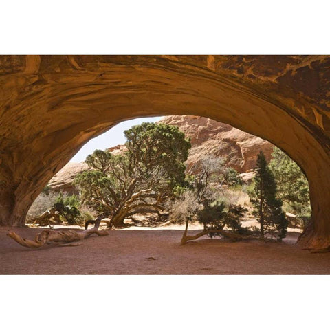 USA, Utah, Arches NP View of cave-like arch Black Modern Wood Framed Art Print with Double Matting by Paulson, Don