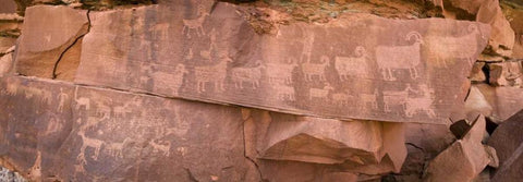 UT, Canyonlands NP Petroglyphs on rocks Black Ornate Wood Framed Art Print with Double Matting by Paulson, Don