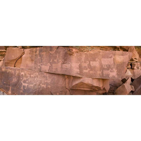 UT, Canyonlands NP Petroglyphs on rocks White Modern Wood Framed Art Print by Paulson, Don