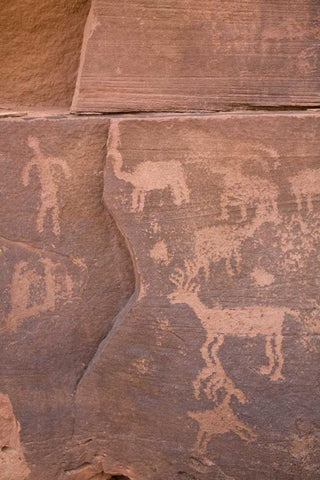 USA, Utah, Canyonlands NP Petroglyphs on rocks Black Ornate Wood Framed Art Print with Double Matting by Paulson, Don