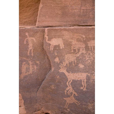 USA, Utah, Canyonlands NP Petroglyphs on rocks White Modern Wood Framed Art Print by Paulson, Don