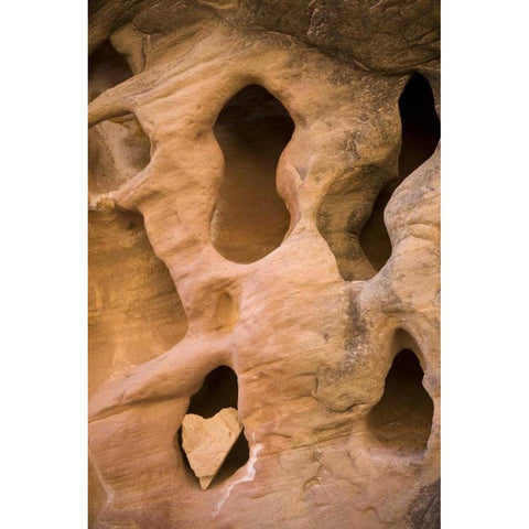 UT, Canyonlands NP Heart-shape rock in sandstone Black Modern Wood Framed Art Print by Paulson, Don