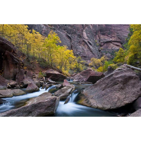 UT, Zion NP Tree lined stream in The Narrows White Modern Wood Framed Art Print by Rotenberg, Nancy