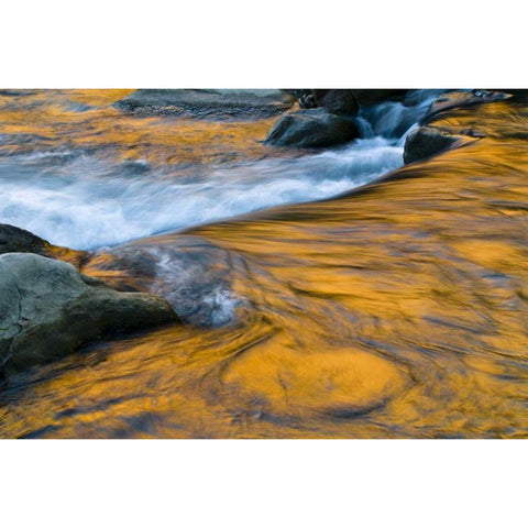 UT, Zion NP Canyon reflections on Virgin River Gold Ornate Wood Framed Art Print with Double Matting by Rotenberg, Nancy