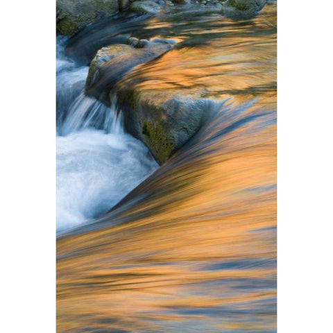UT, Zion NP Canyon reflections on Virgin River White Modern Wood Framed Art Print by Rotenberg, Nancy
