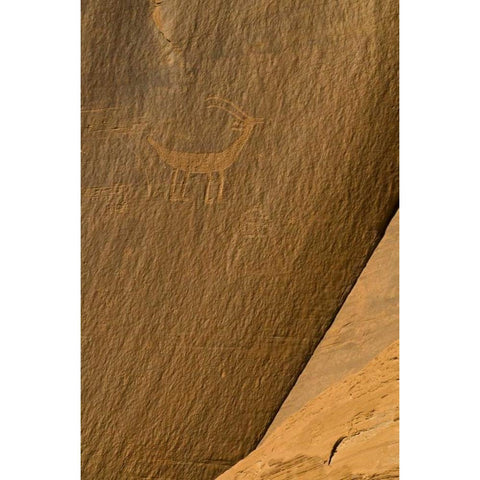 UT, Monument Valley Ancient petroglyphs Black Modern Wood Framed Art Print with Double Matting by Rotenberg, Nancy