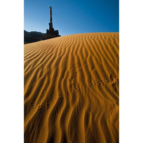 Utah, Monument Valley Totem Pole formations Gold Ornate Wood Framed Art Print with Double Matting by Rotenberg, Nancy