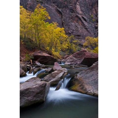 UT, Zion NP Waterfall with cottonwood trees Black Modern Wood Framed Art Print by Rotenberg, Nancy