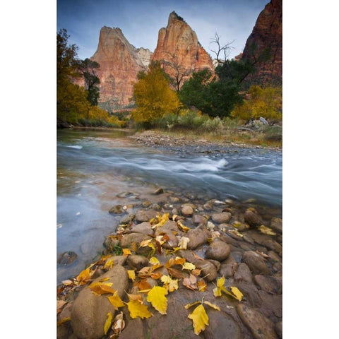 UT, Zion NP The Sentinel and fallen leaves Gold Ornate Wood Framed Art Print with Double Matting by Rotenberg, Nancy