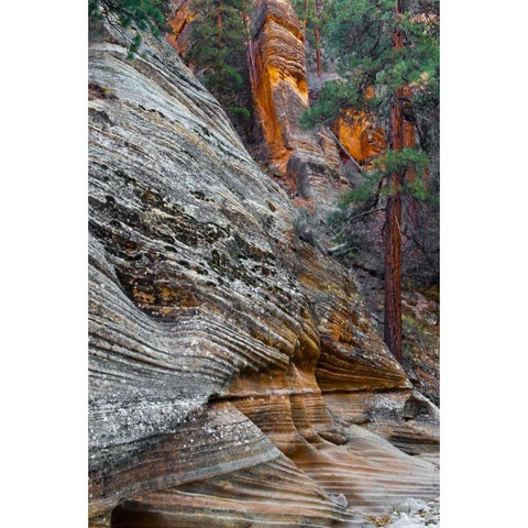 Utah, Zion NP Rock formations in Red Rock Canyon Black Modern Wood Framed Art Print with Double Matting by Rotenberg, Nancy