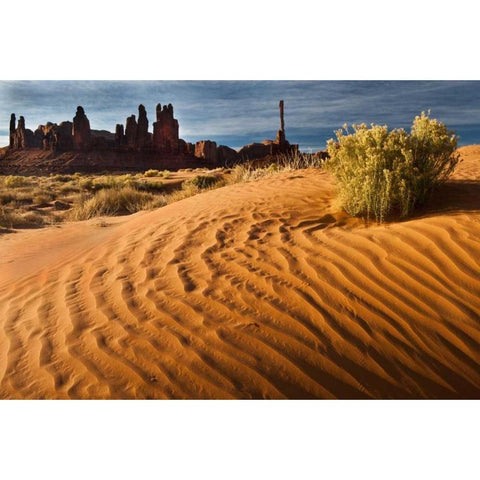 Utah, Monument Valley Sand dunes with Totem Pole Gold Ornate Wood Framed Art Print with Double Matting by Rotenberg, Nancy