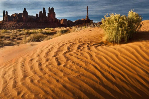 Utah, Monument Valley Sand dunes with Totem Pole Black Ornate Wood Framed Art Print with Double Matting by Rotenberg, Nancy