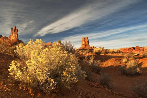 UT, Valley of The Gods Eroded formations White Modern Wood Framed Art Print with Double Matting by Rotenberg, Nancy