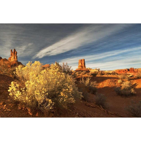 UT, Valley of The Gods Eroded formations White Modern Wood Framed Art Print by Rotenberg, Nancy