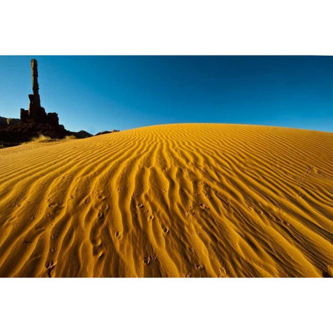 Utah, Monument Valley Totem Pole formations White Modern Wood Framed Art Print by Rotenberg, Nancy