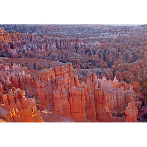 Utah, Bryce Canyon NP Sunrise at Sunset Point Black Modern Wood Framed Art Print by Illg, Cathy and Gordon